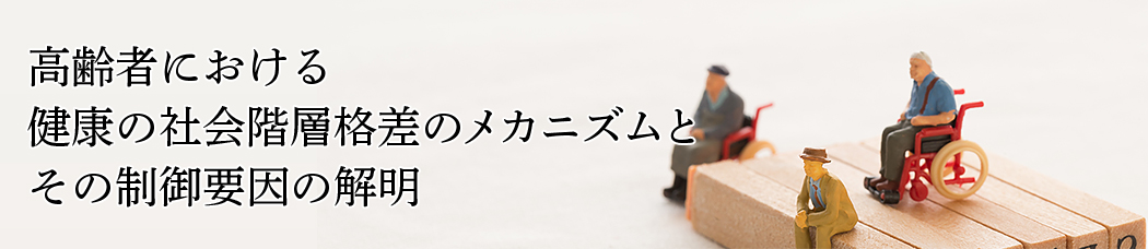 高齢者における健康の社会階層格差のメカニズムとその制御要因の解明