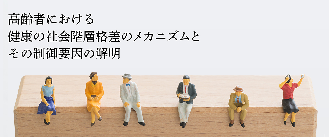 高齢者における健康の社会階層格差のメカニズムとその制御要因の解明